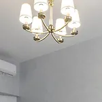 Apartment Golden Violin ! S